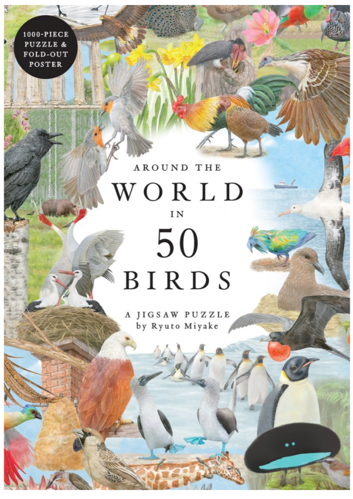 Around The World In 50 Birds