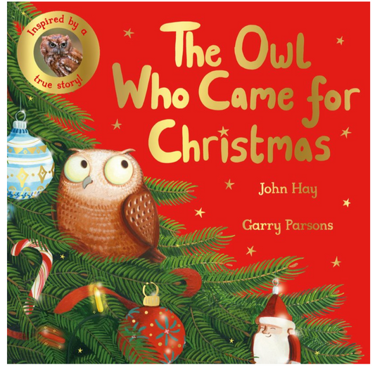 The Owl Who Came for Christmas
